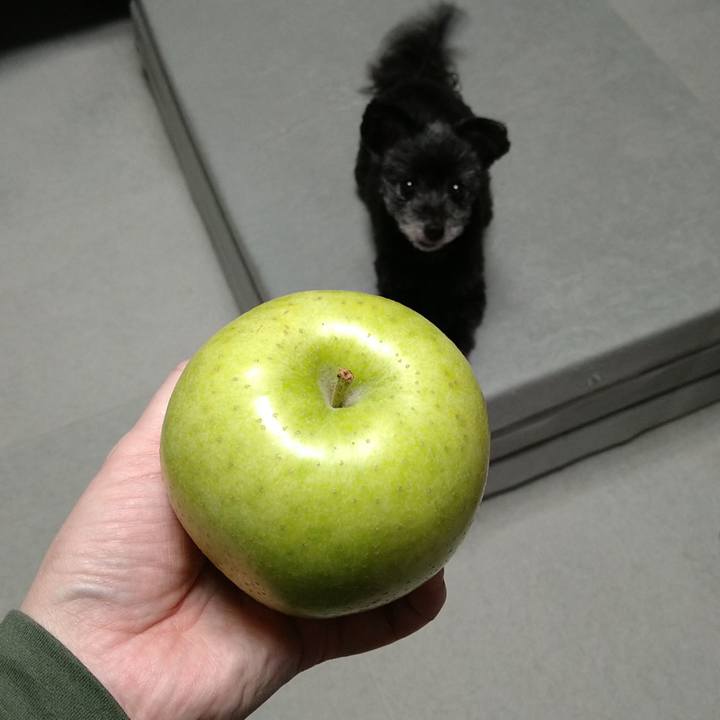 E8afc4d1 318e 4d25 afca fb7f88d32811 1709981838363