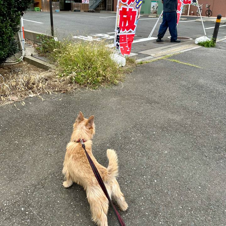 E8afe987 6cc0 48c2 9d5b b97c8da096ce 1729610056008