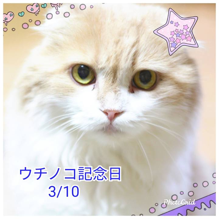 E8affd94 13cf 4072 b61f 355c3cfc6d45 1583795590602