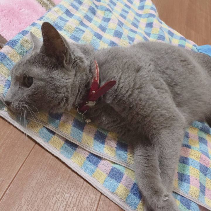 E8b01966 0df0 424f 8f46 ede8598048f9 1524489394784