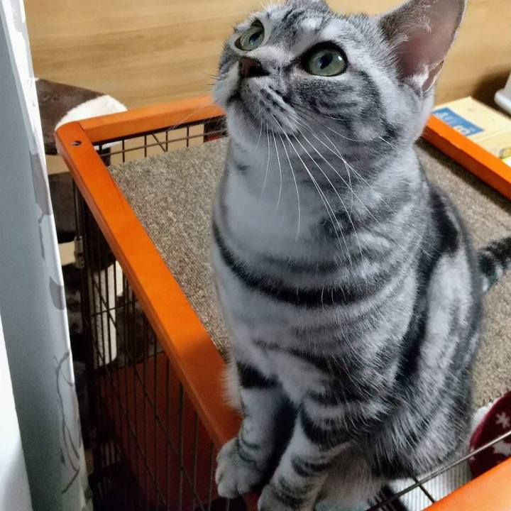 E8b01abb f630 45c6 82a4 93b7a15b2568 1700042292105