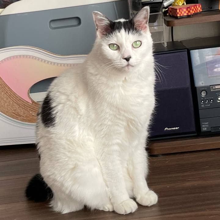 E8b048a4 872b 4b31 9a71 bd6a8a31fbd8 1670648481218