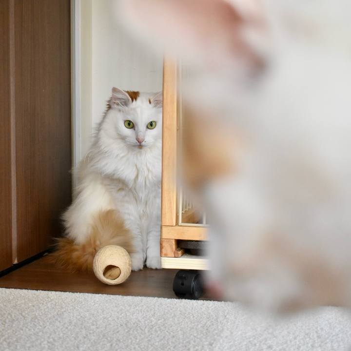 E8b05379 3e53 4f47 ab45 c392addfa56e 1768699768190