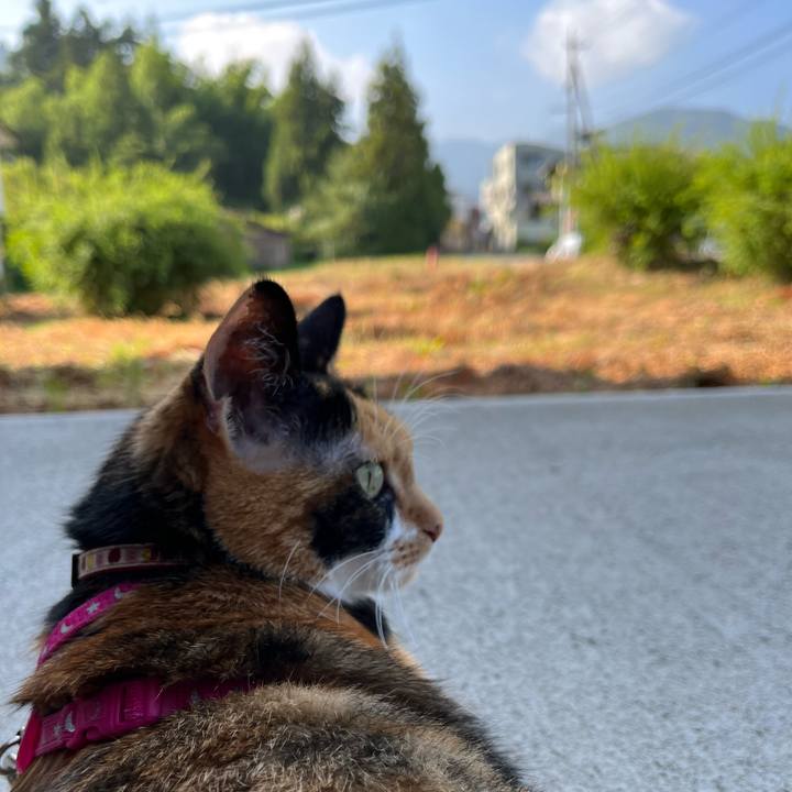 E8b072f9 783f 497e a6f3 26f85051f38e 1691102422131