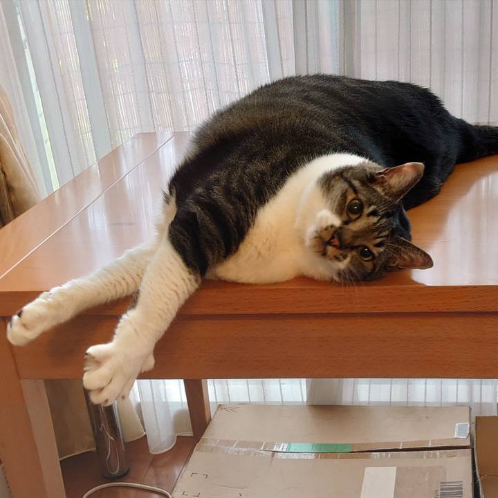 E8b08546 aeef 4271 b5e4 badf30a659c5 1657164219255