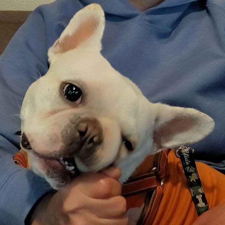 E8b0ac40 18ac 4c78 b73e da3b8b07b852 1651532023800