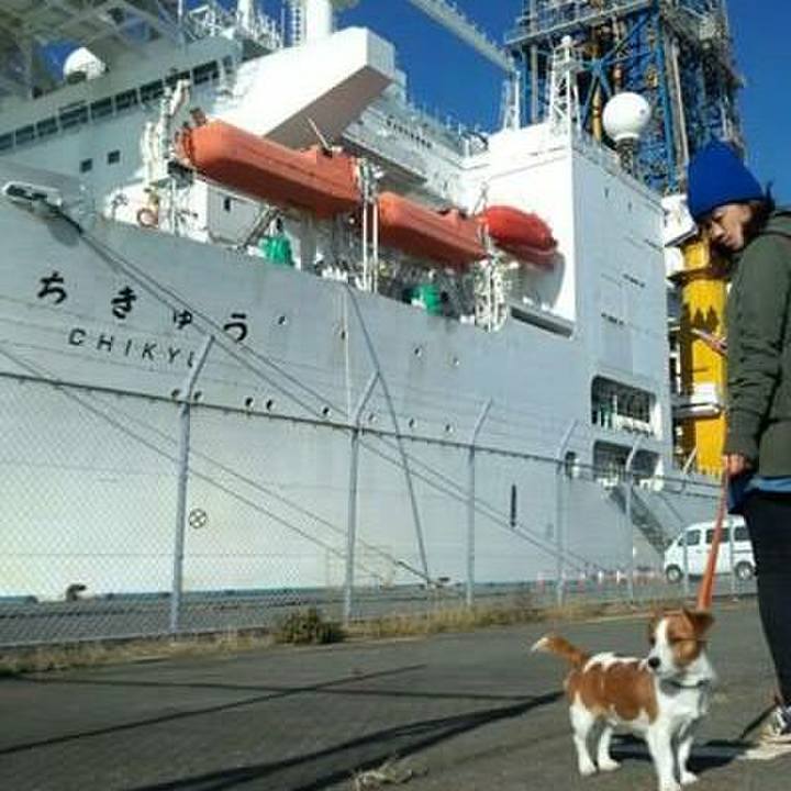 E8b0cc3e 4aff 4590 8daf c395398dc162 1529927657991