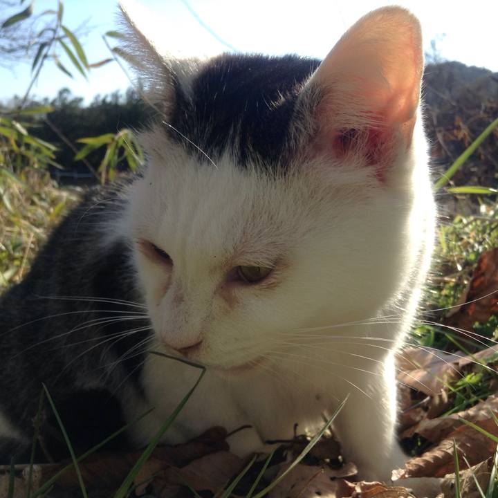 E8b0d494 d2b8 4812 81ef 1793eeb9ea24 1512998909026