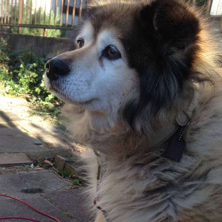 E8b0e9d1 4f7e 4359 81e0 e8c05b4edf05 1619840230724