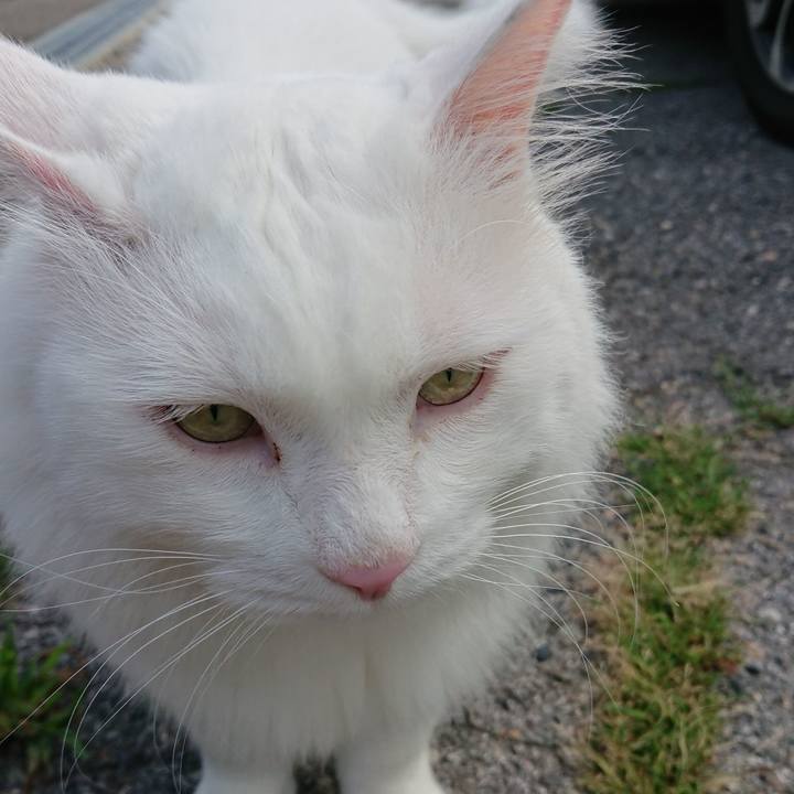 E8b0eddb b2a2 498e a143 6958bde59753 1533076463199