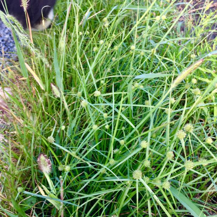 E8b0f2dd cf63 4346 bf19 3e8e8ff2be49 1569281588363