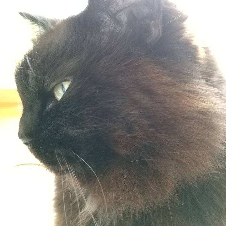 E8b10e12 22ad 4aec bf27 573da46da431 1588639093349