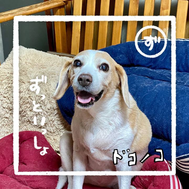 E8b1323c d88a 4190 9067 dce22990045a 1685968447555