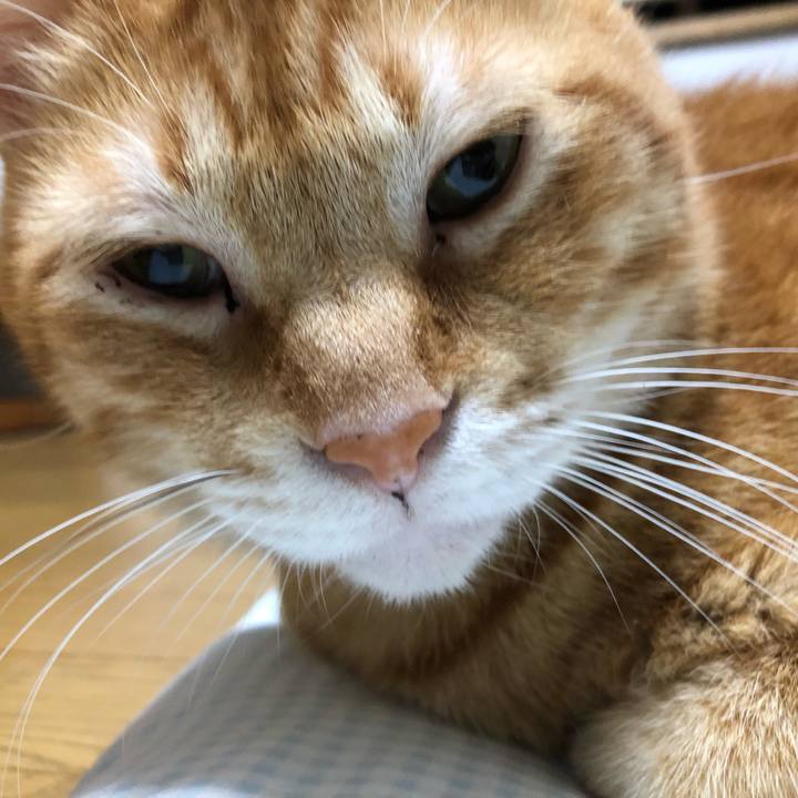 E8b172c7 15a6 44d0 b07c bd8d16e68f62 1569213252870