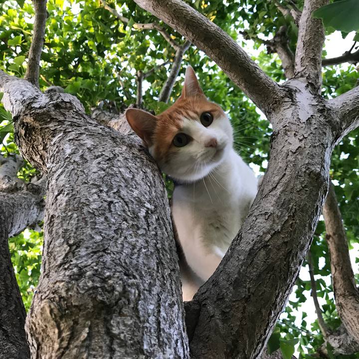 E8b17c01 1677 4219 8dd2 898bed1d2b4a 1528104670307