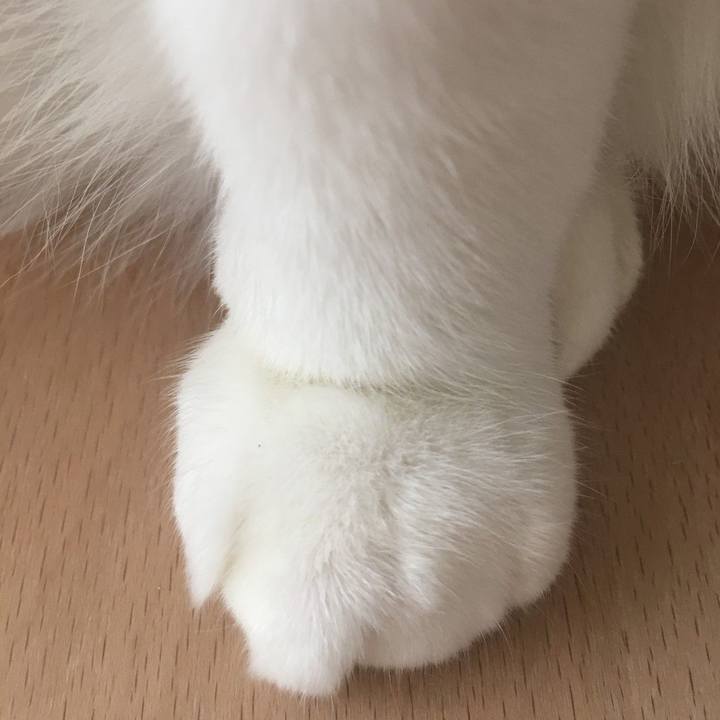 E8b18099 961b 47aa a94f 097b91b754d2 1576333869591