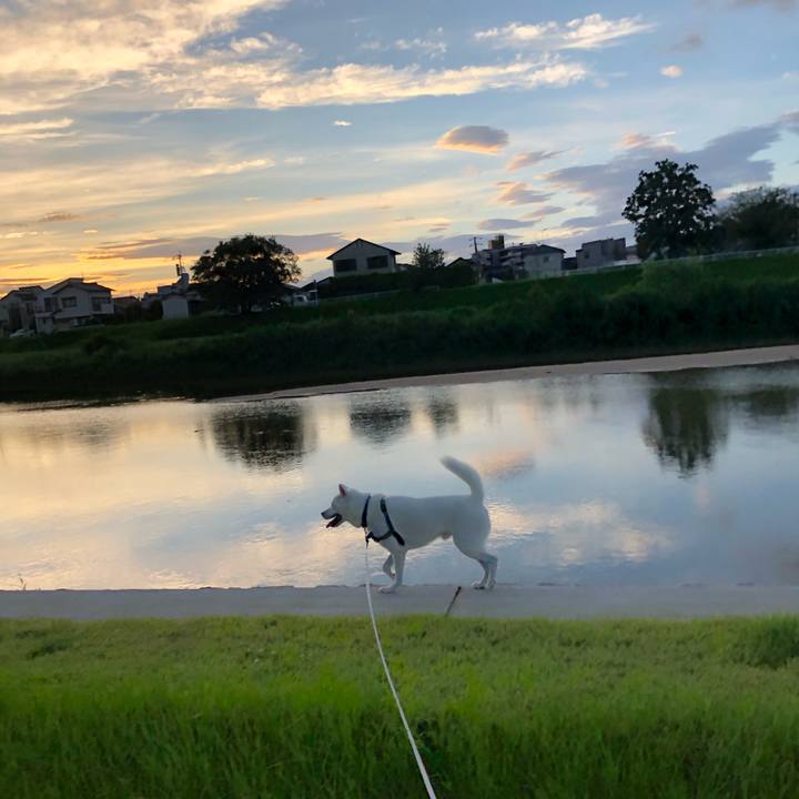 E8b18492 1193 49e8 b7a9 2de4e622e0ab 1597178968624