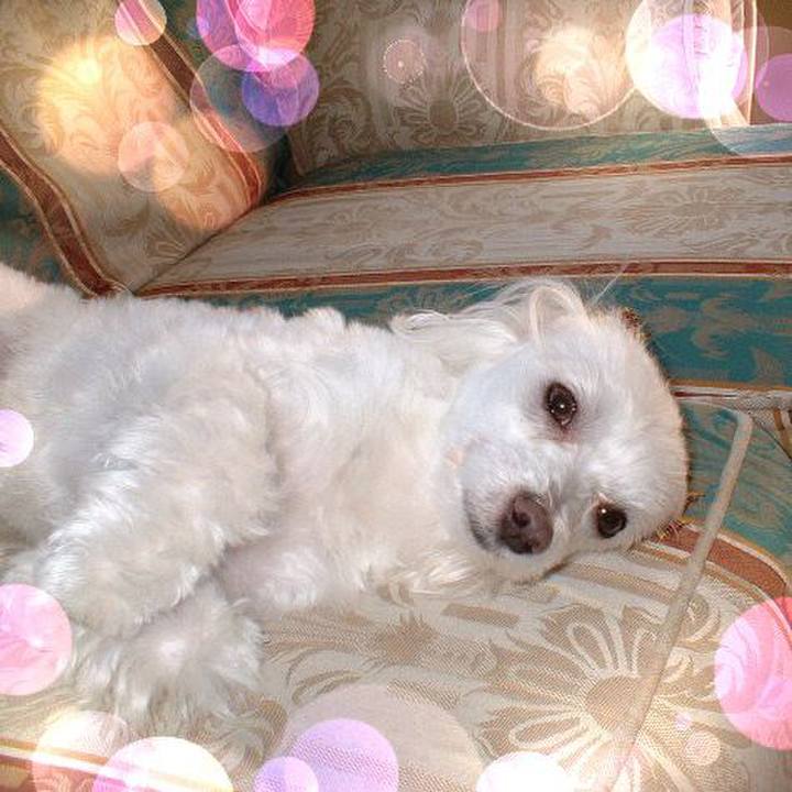 E8b1a008 7ffb 407f adba a466d130b4e0 1530887244609