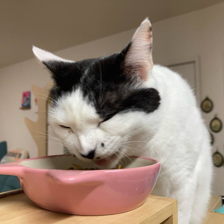 E8b1c635 c195 4afb bcd6 db9a73c57607 1763930429940