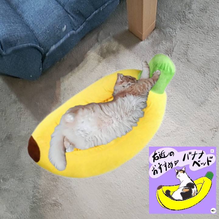 E8b1d285 0d33 4a4d 867d 9b38a8b8ece2 1661724341357