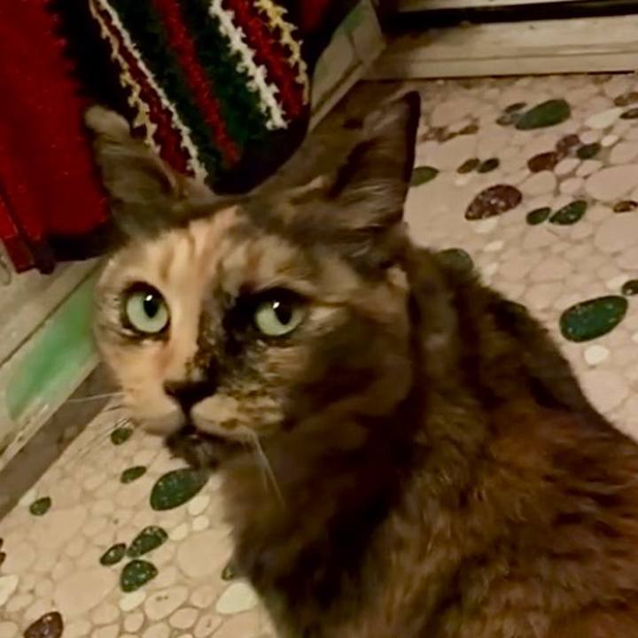 E8b1d8ec a670 4f94 984d 80383b5edc2c 1749071493900