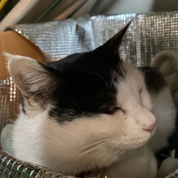 E8b200cd fe53 48cd 9955 fb5132d73574 1640564557516