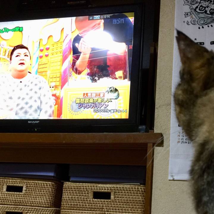 E8b2fa80 f294 4e55 84d8 8c9718cb97b8 1540299005408