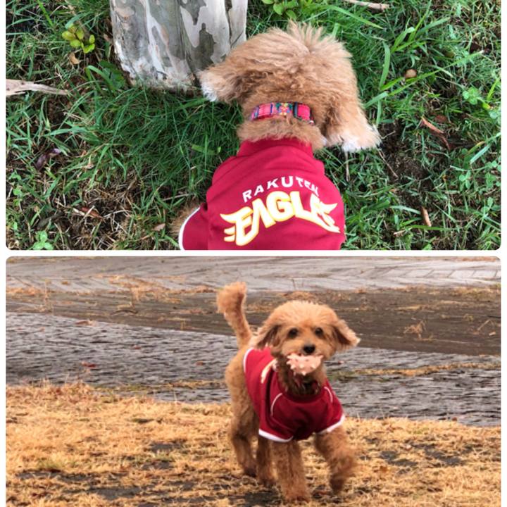 E8b30015 09c5 4ca8 88f2 bccf3b13314d 1570440220205