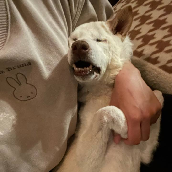 E8b327d2 c400 4b4f 8f55 9954a77c045a 1677938607727