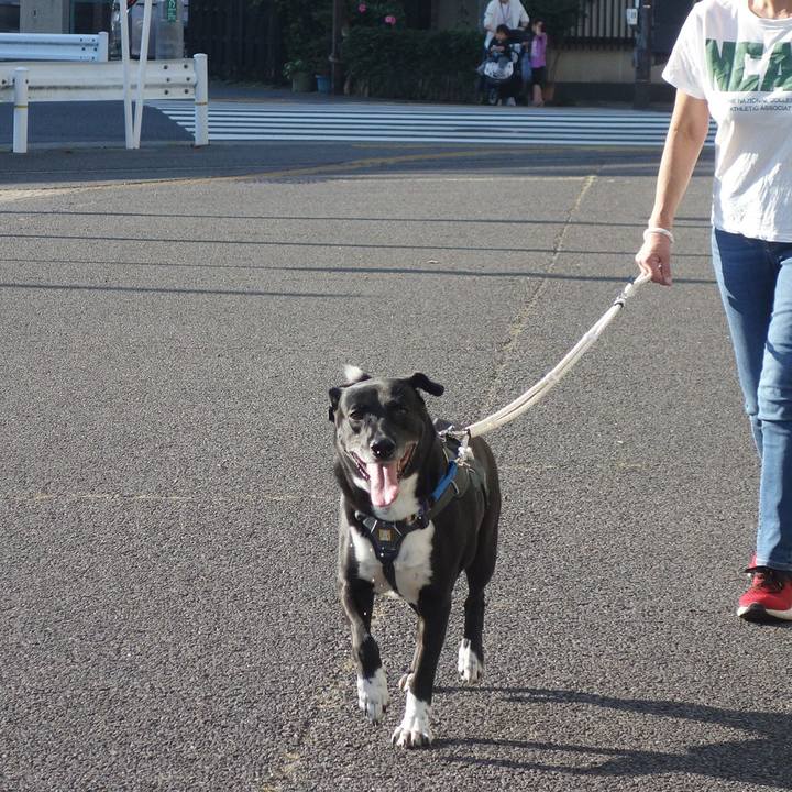 E8b37616 35fd 47b2 b883 83bc5c3a3a1b 1664843526347