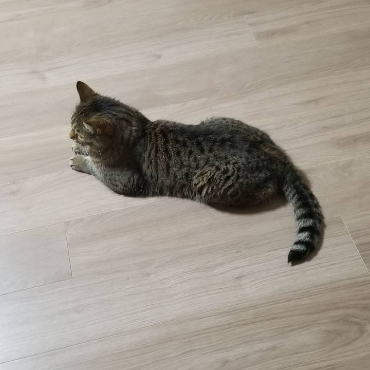 E8b3834b 34fe 4993 bb4d 8c43533cbf1c 1622756487944