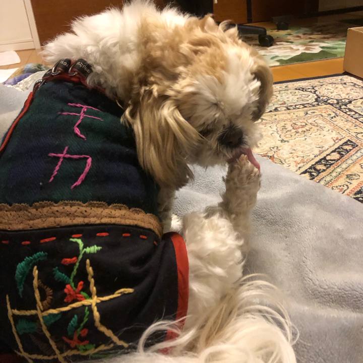 E8b3a166 0a51 4deb 8947 db28f11a66aa 1615499563372