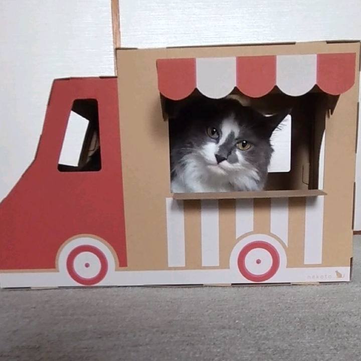 E8b4643f 4af6 4bfc 953b 52a05378713a 1628827334283