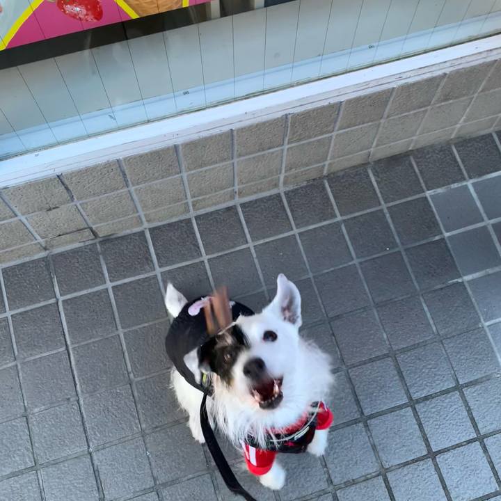 E8b477b2 1af7 44aa a2b4 df4afce2e94f 1737073264451