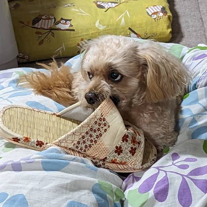 E8b4783b fa88 42a2 8308 bb9bb51f5bfe 1697142428318