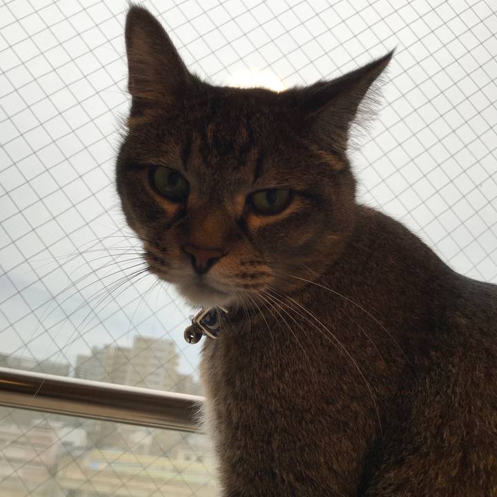 E8b4a7ab b70d 4a48 9109 1134d34f726c 1563648846753