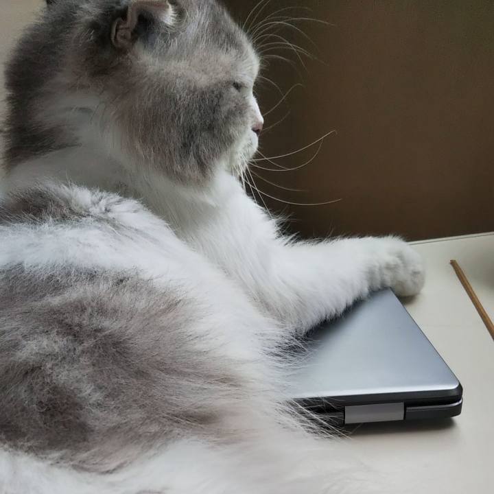 E8b4b379 eca0 488a 8cb5 607e2b216473 1624918813060