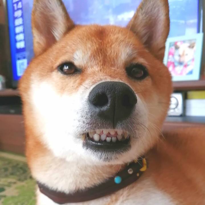 E8b51303 6211 4a18 88d0 b6e7d5c99d0a 1663568471048