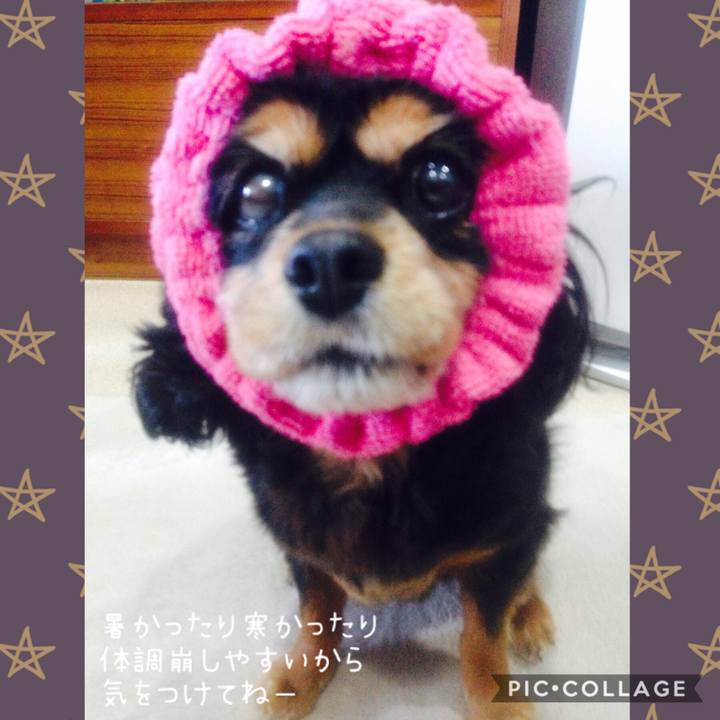 E8b529ea f299 4f5b ada4 5e3855d1a558 1544062777557