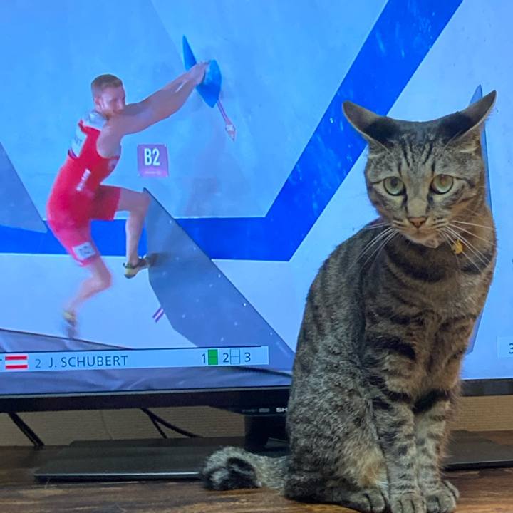 E8b52a3c 43e1 4fc7 b4e3 524c81858ec4 1628213720947