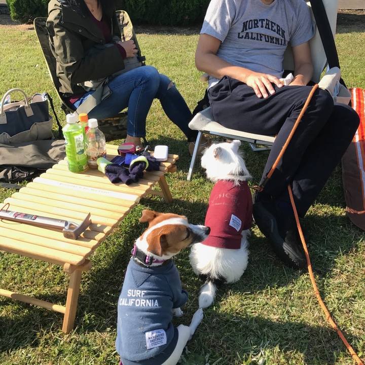 E8b53118 ddf2 460a 9ef7 013afd43be18 1755179324572