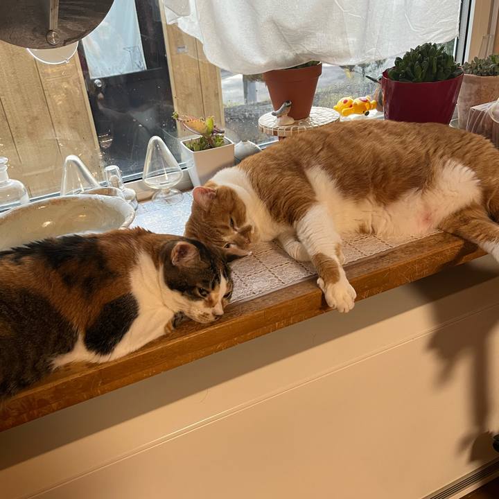 E8b531b4 5ad8 4746 9980 033d97289cb9 1763675802289