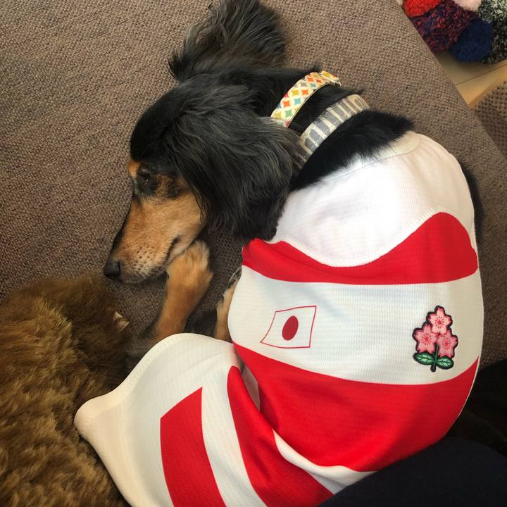 E8b53611 66c6 4659 a45d 5273addb41c3 1569727782288