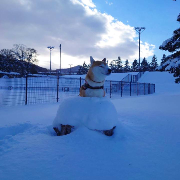 E8b552d5 b02f 46b7 9f12 45dffc1ff1e8 1671510084428