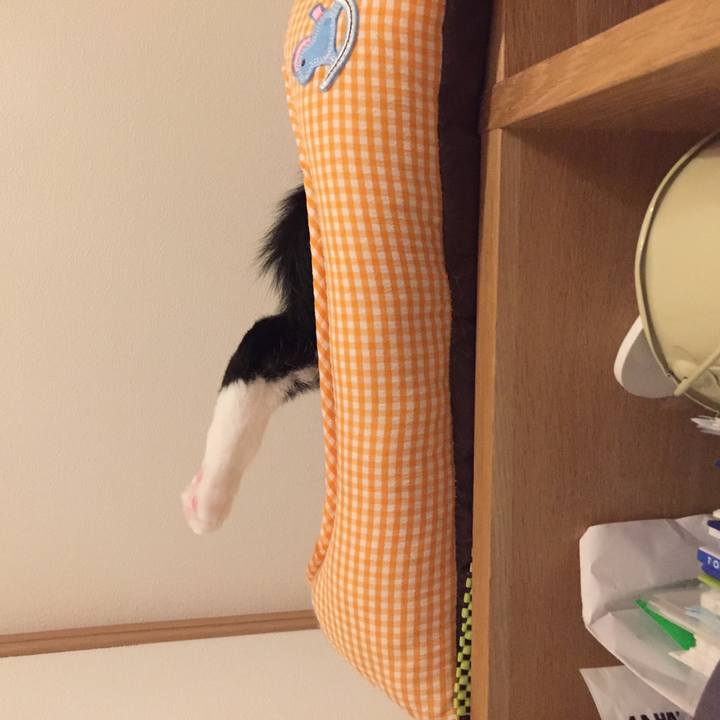 E8b57f7b 6e10 401a 9836 c2364906159a 1539014623927