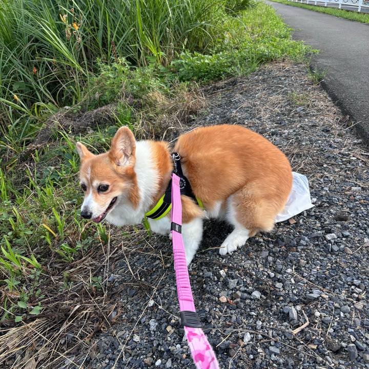 E8b5fa56 f8ed 4266 8b28 89cf142810f8 1752792984426