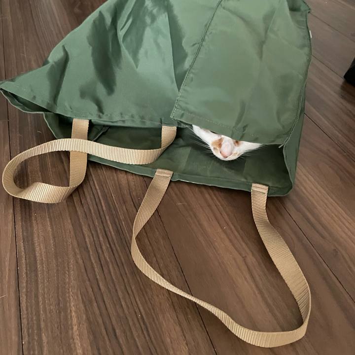 E8b60285 3bc1 4826 99a4 77fb759f696c 1745810799309