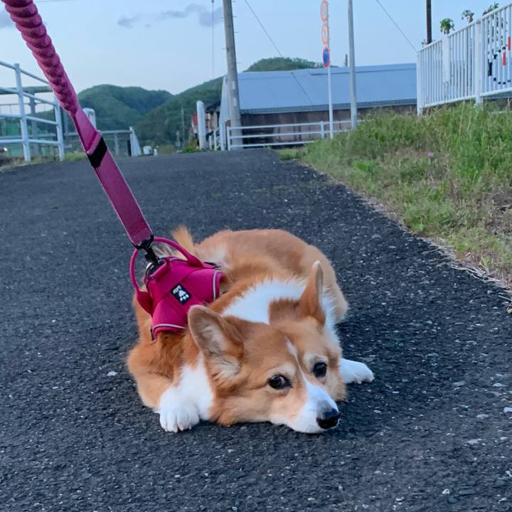 E8b611e1 fc20 4640 8339 0f2bc3ed9b74 1681726072907