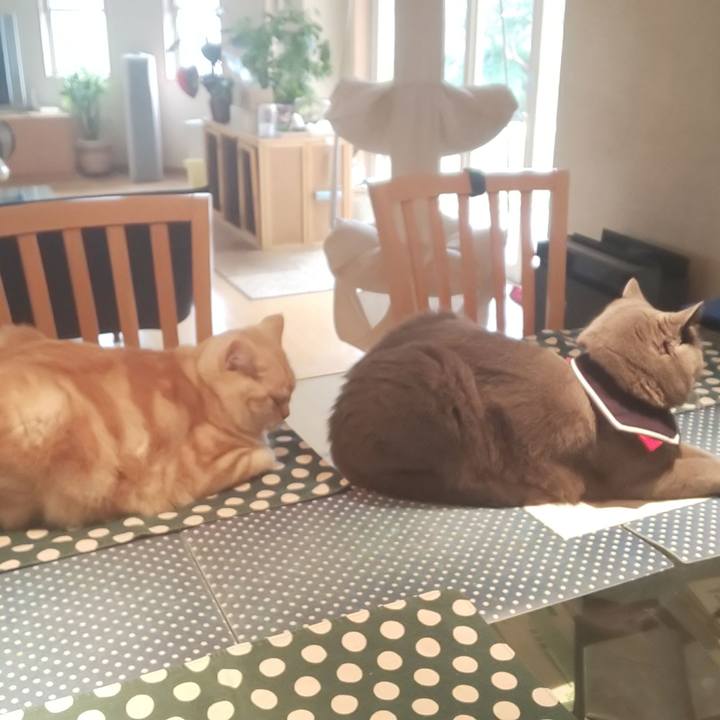 E8b61559 ffe3 479e acb6 1243c4577636 1542849008114