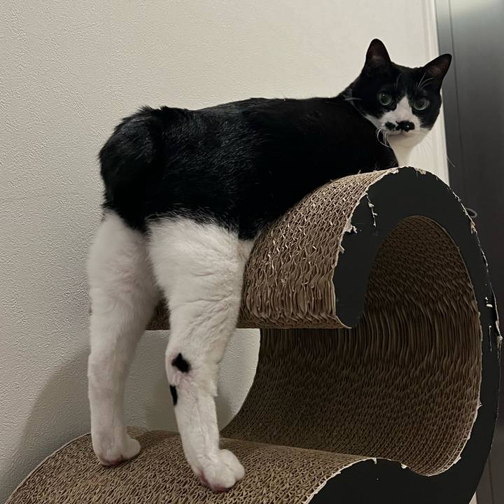 E8b62bb2 cfc7 49e3 b971 3cb2d18572a2 1772887564962